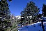 DSCF8138