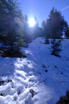 DSCF8139