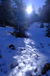 DSCF8140