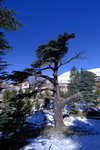 DSCF8141