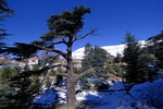 DSCF8142