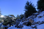 DSCF8143