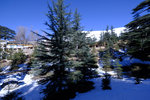 DSCF8145