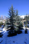 DSCF8146