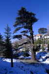 DSCF8147