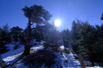DSCF8186