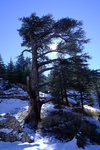 DSCF8188