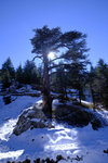 DSCF8189