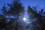 DSCF8193