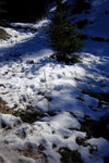 DSCF8194