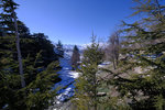 DSCF8197