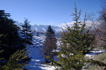 DSCF8198