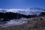 DSCF8200