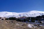 DSCF8209