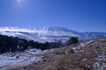 DSCF8210