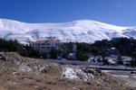 DSCF8219