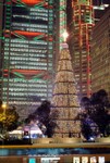 X'mas 03-1
