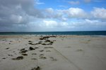 DSC00035