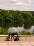 P1477061