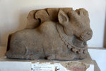DSC06490