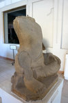 DSC06491
