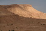 IMG_3395