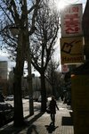 IMG_1036