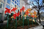 IMG_1051