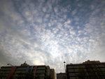 P8221889