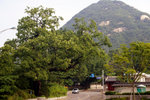 DSC01728