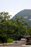 DSC01729