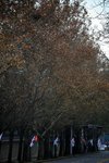 IMG_4620