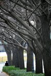 IMG_4640
