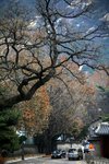 IMG_4662
