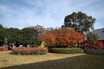 DSC03069