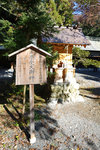 DSC01902