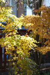 DSC01909