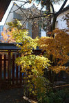 DSC01910