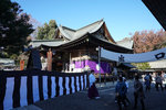 DSC01917
