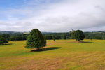 P1188607