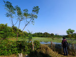 P1033398