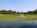 P1033400