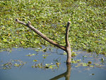 P2020708