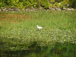 P2020722