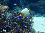 DSC00027