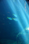 DSC00183