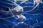 DSC00289