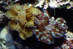 DSC00302