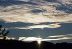 _DSF0596