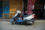 IMGP2950